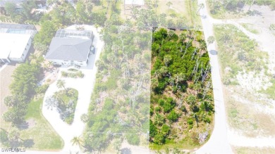 Beach Lot For Sale in Fort Myers, Florida