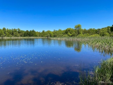 Beach Acreage For Sale in L Anse, Michigan