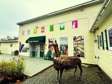 Beach Home For Sale in Northport, Maine