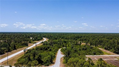 Beach Lot For Sale in North Port, Florida