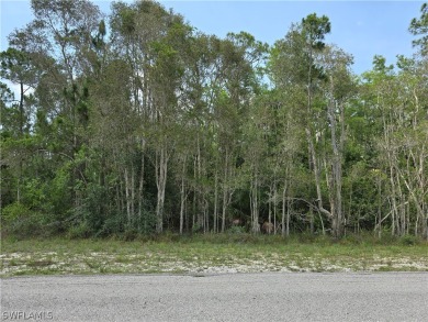 Beach Lot For Sale in Lehigh Acres, Florida