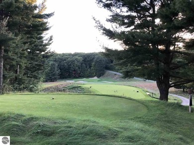 Beach Lot For Sale in Frankfort, Michigan
