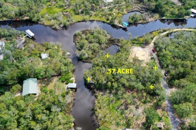 Beach Lot For Sale in Homosassa, Florida