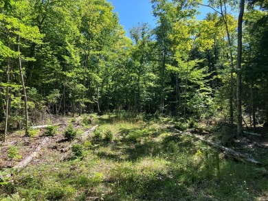 Beach Acreage For Sale in Ellison Bay, Wisconsin