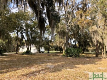 Beach Lot Off Market in Midway, Georgia