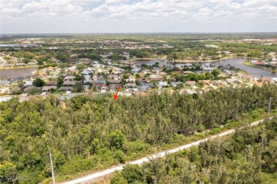 Beach Lot For Sale in Estero, Florida