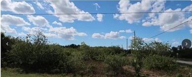 Beach Lot For Sale in Fort Myers, Florida