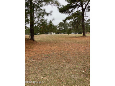 Beach Lot For Sale in Sunset Beach, North Carolina