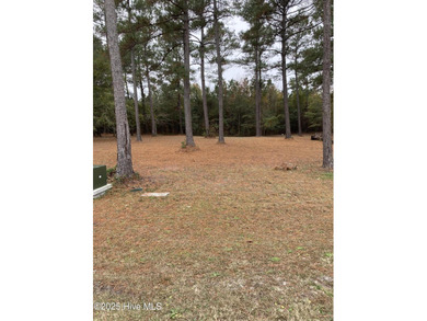 Beach Lot For Sale in Sunset Beach, North Carolina