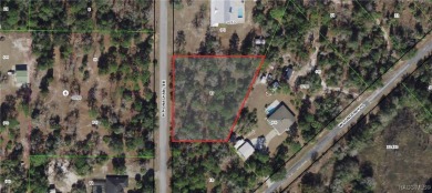 Beach Lot Sale Pending in Crystal River, Florida