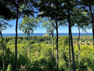 Beach Condo For Sale in Egg Harbor, Wisconsin