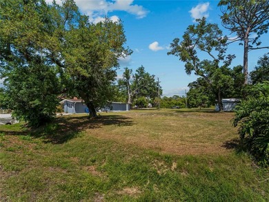 Beach Lot For Sale in Venice, Florida
