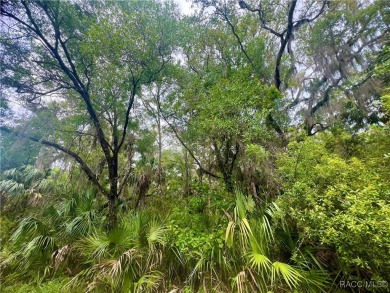 Beach Lot For Sale in Crystal River, Florida