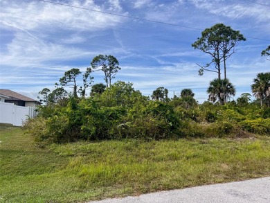 Beach Lot For Sale in Placida, Florida