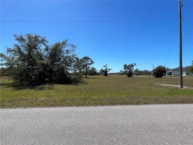 Beach Lot For Sale in Placida, Florida