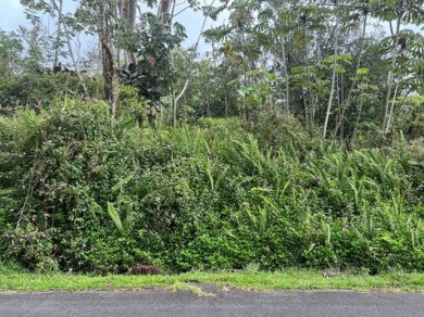 Beach Lot For Sale in Pahoa, Hawaii