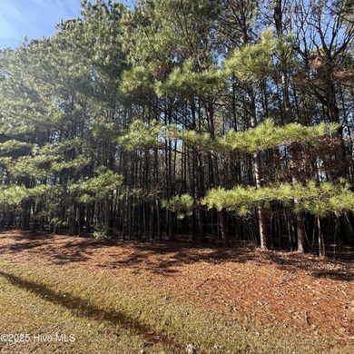 Beach Acreage For Sale in Hertford, North Carolina