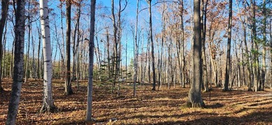 Beach Lot For Sale in Baileys Harbor, Wisconsin