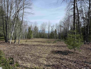 Beach Acreage For Sale in Mikado, Michigan