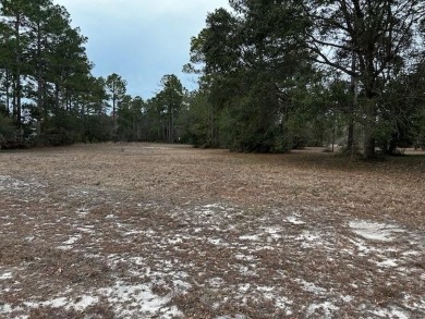 Beach Lot For Sale in Townsend, Georgia