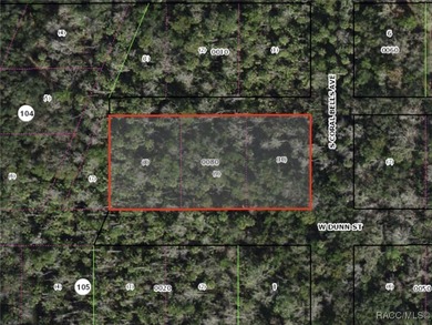 Beach Lot For Sale in Homosassa, Florida