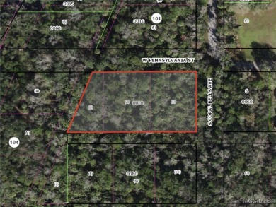 Beach Lot For Sale in Homosassa, Florida