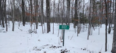 Beach Lot For Sale in Baileys Harbor, Wisconsin