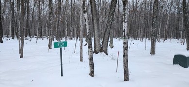 Beach Lot For Sale in Baileys Harbor, Wisconsin