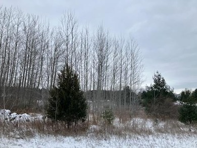Lot For Sale in Sturgeon Bay image photo picture