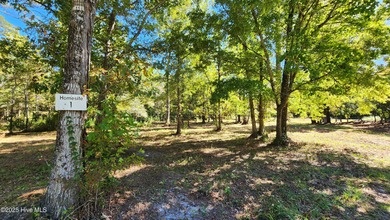 Beach Acreage For Sale in Beaufort, North Carolina