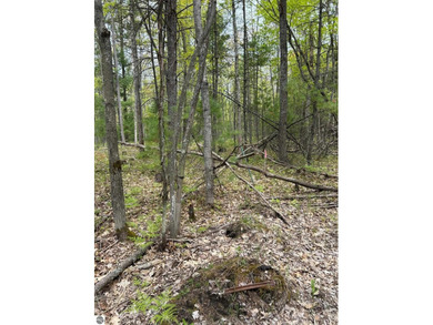 Beach Acreage For Sale in Traverse City, Michigan