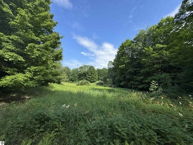 Beach Acreage For Sale in Empire, Michigan