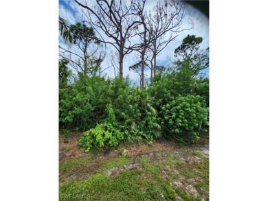 Beach Lot For Sale in St. James City, Florida
