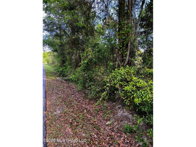 Beach Lot For Sale in Waveland, Mississippi