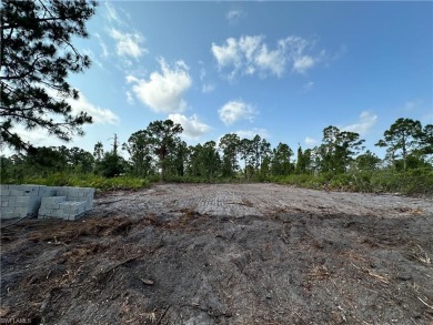 Beach Lot For Sale in Lehigh Acres, Florida