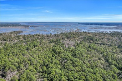 Beach Acreage Active Under Contract in Woodbine, Georgia