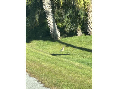 Beach Lot For Sale in Placida, Florida