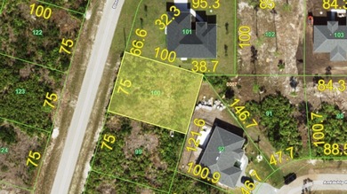 Beach Lot For Sale in Placida, Florida