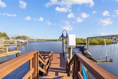 Beach Home For Sale in Tarpon Springs, Florida