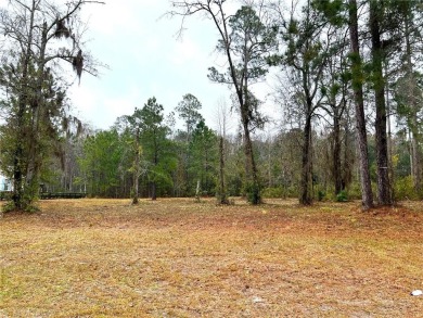 Beach Lot Sale Pending in Brunswick, Georgia