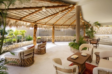 Beach Home For Sale in Pedregal Csl, 