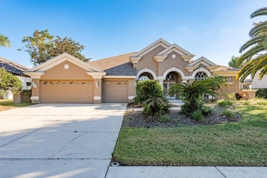 Beach Home For Sale in Palm Harbor, Florida