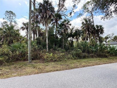 Lot For Sale in Port Charlotte image photo picture