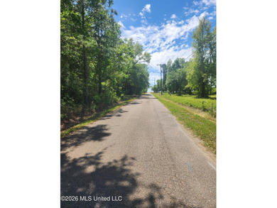 Beach Lot For Sale in Pass Christian, Mississippi