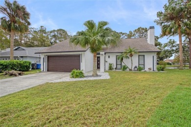 Beach Home For Sale in Tampa, Florida