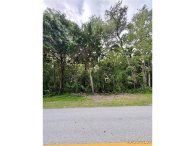 Beach Lot For Sale in Crystal River, Florida