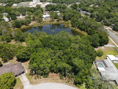 Beach Lot For Sale in Spring Hill, Florida
