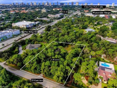 Beach Lot For Sale in Naples, Florida