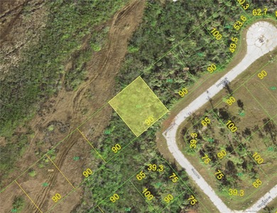 Beach Lot For Sale in Placida, Florida