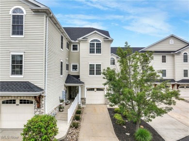 Beach Condo For Sale in Ashtabula, Ohio